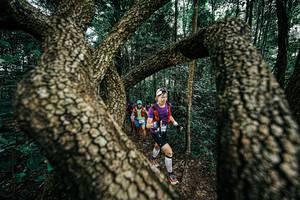 BIB: 
                            <button type="button" onclick="openModal(25394154)" class="btn btn-primary btn-sm float-right btn-popup" data-toggle="modal" data-target=".modal-high-quality">
                        <i class="fas fa-shopping-cart"></i> Add to Cart
                    </button>
                                            <button type="button" onclick="isThisMe(25394154, true)" class="btn btn-success btn-sm float-right btn-popup btn-isme hidden" data-toggle="tooltip" data-placement="bottom" title="นี่คือรูปของคุณใช่ไหม คลิกที่นี่เพื่อเอาเข้าอัลบั้ม">
                        <i class="fas fa-plus"></i> Add to album
                    </button>
                    <button type="button" onclick="isThisMe(25394154, false)" class="btn btn-warning btn-sm float-right btn-popup btn-isnotme hidden">
                        <i class="fas fa-ban"></i> Remove from album
                    </button>